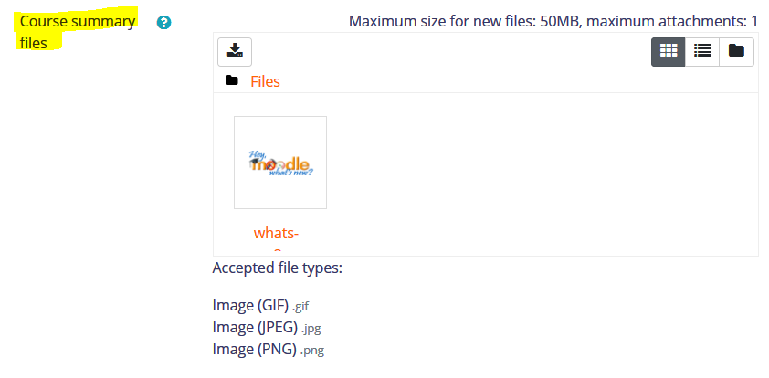 Screenshot of course summary files box
